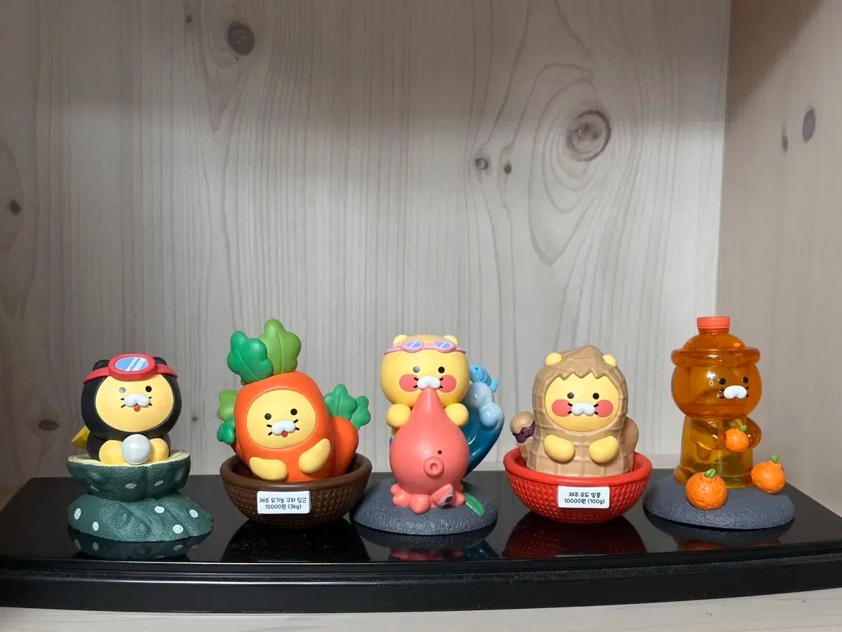 ディスカウント アルメリック バニーチャウ5,11 usシェイプ