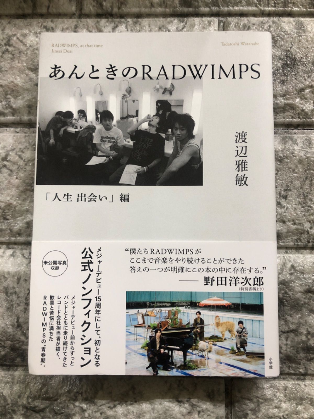 あんときのRADWIMPS 人間開花編 - 文学