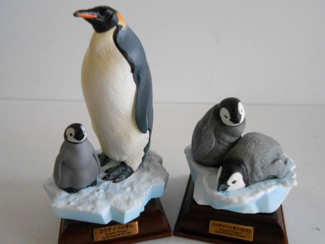 コウテイペンギン(親子) ネイチャーテクニカラー 南極 - その他