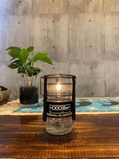 HODO ピコランタン 昨年のリリースから根強い人気の「ピコランタン