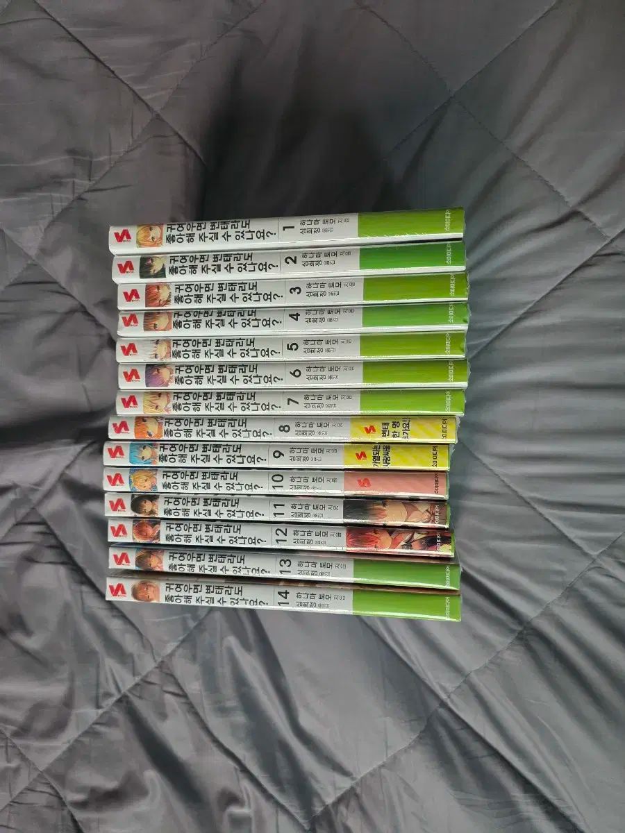 かわいいと迷x라도好きでいてくれる 1巻 ~ 14巻 未開封