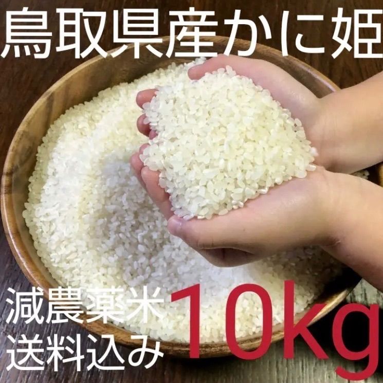 鳥取県産 きぬむすめ 令和7年産 お米 10キロ