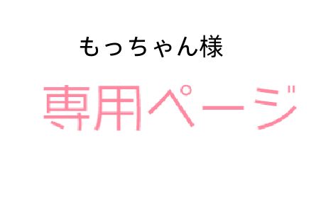 もっちゃん様専用ページ - メルカリ