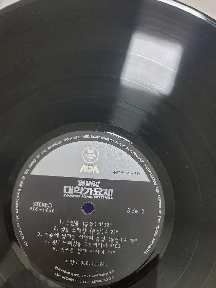 フェスティバル