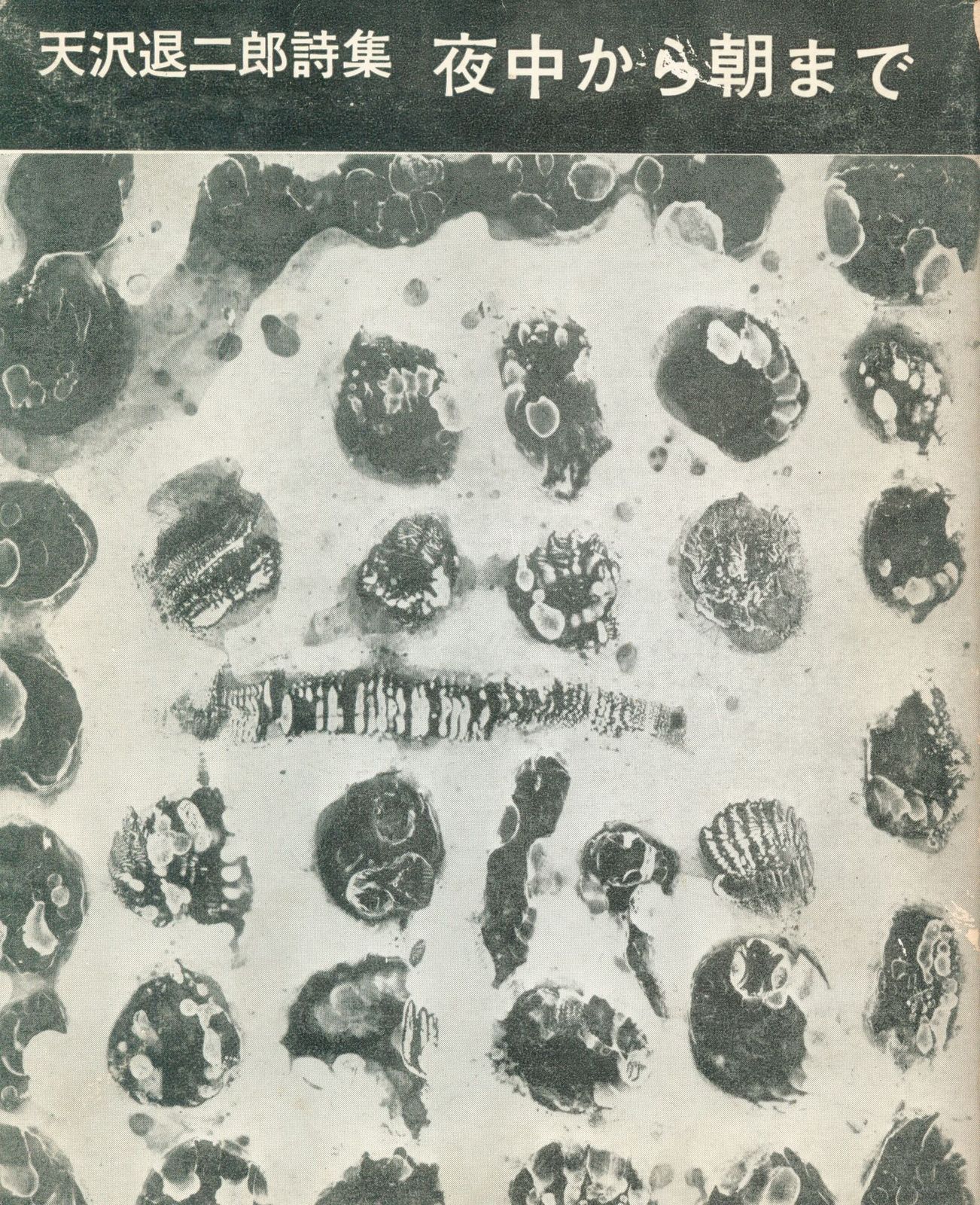 天沢退二郎詩集「夜中から朝まで」