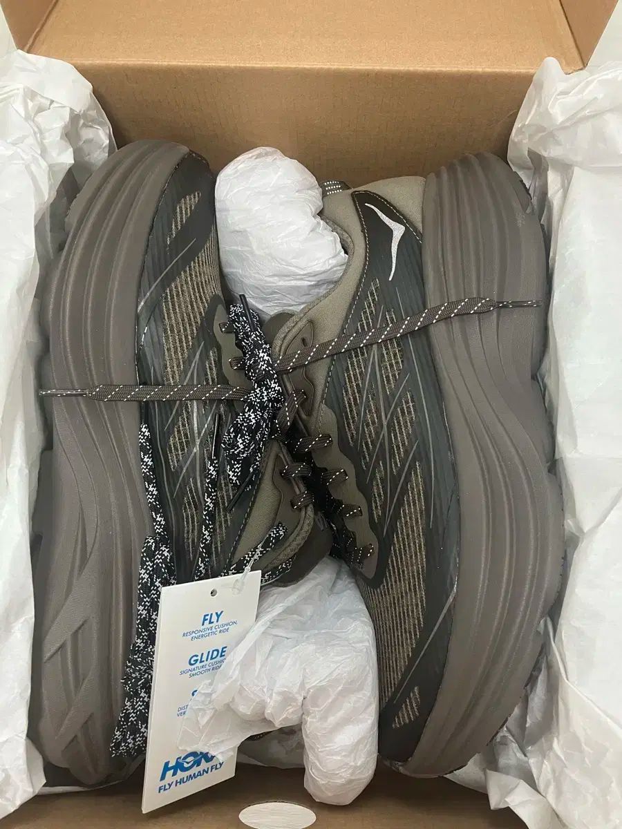 日本産カミキリムシ検索図説 日本産カミキリムシ検索図説 大林延夫