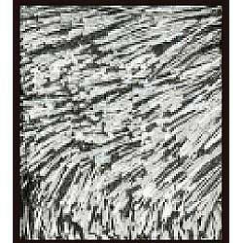 3営業日で発送 スミノエ Suminoe NGL10 140X200 ラグ ネオグラス 140×200cm ブラック 日本製