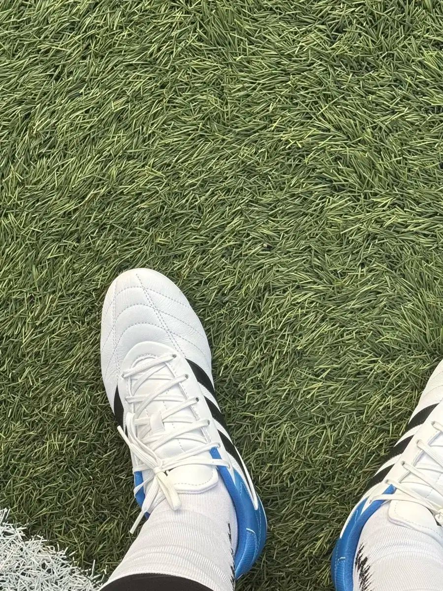 adidas アディダス コパ グロロ II ST MG JH7163 ー 255