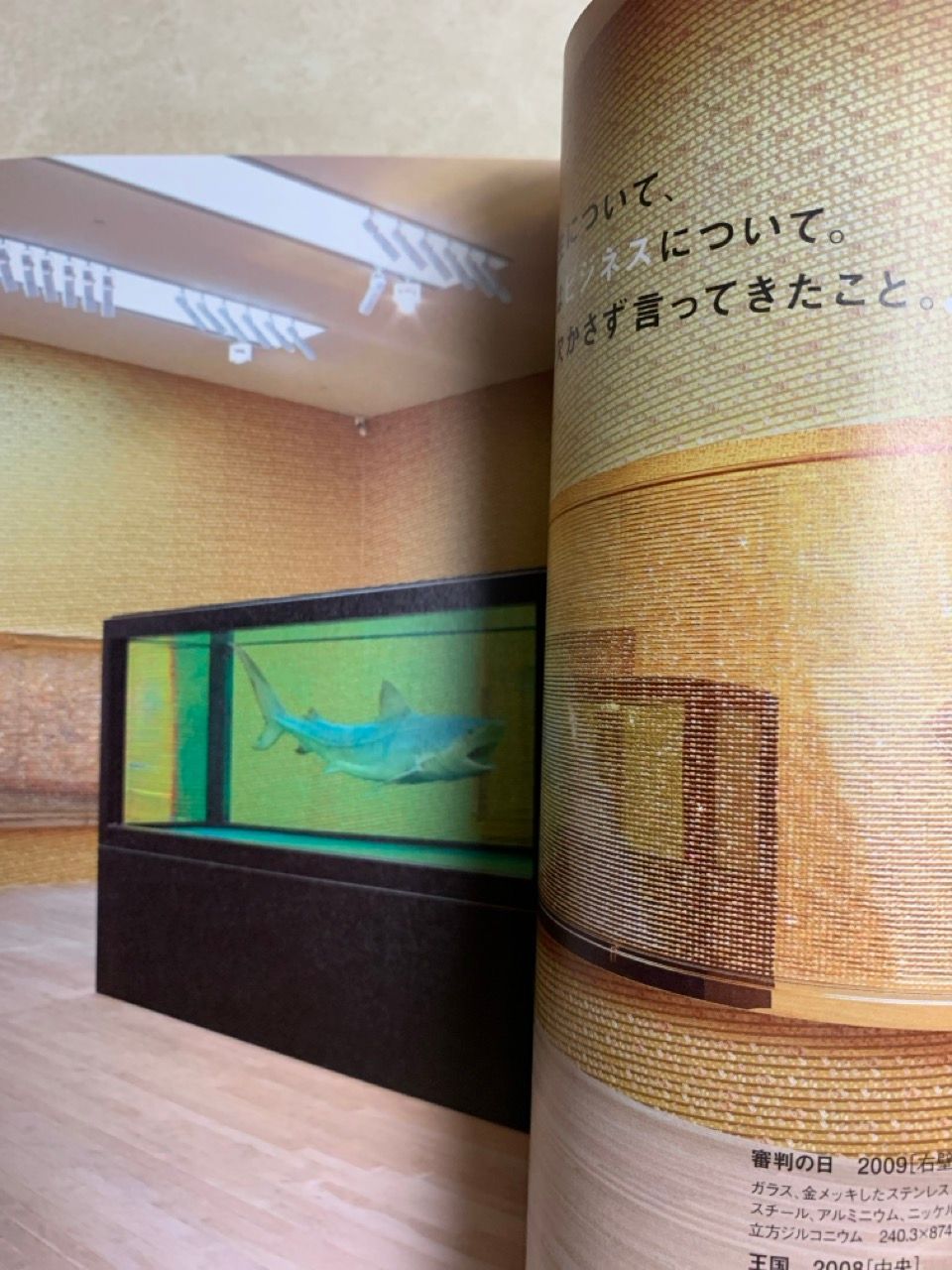 美術手帖 2012年7月号 DAMIEN HIRST デミアン・ハースト - メルカリ
