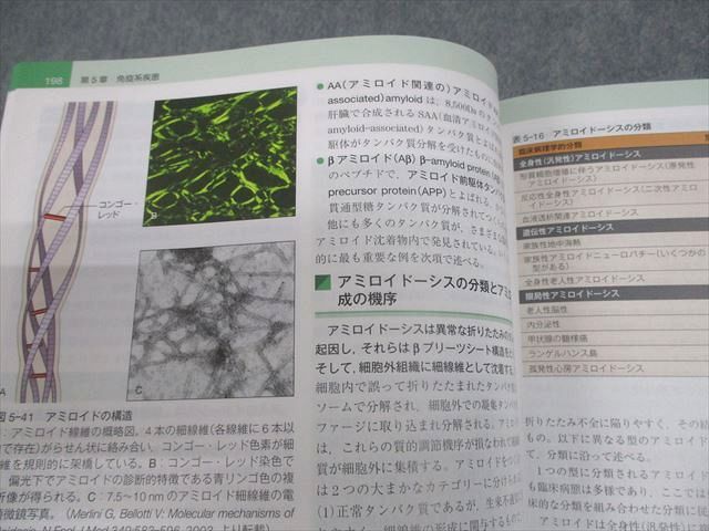丸善出版/ELSEVIER ロビンス基礎病理学 原書10版 2021 040M3D