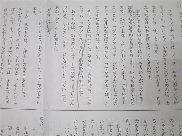 浜学園 小3 国語H No.1〜39/41/42 復習テスト計41回分セット 2019 031M3D 浜学園 小3 国語H No.1～39/41/42 復習テスト計41回分