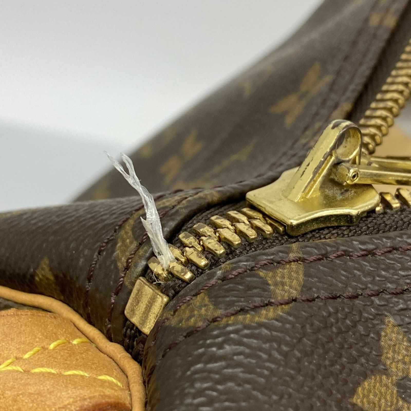 レディース P1435772