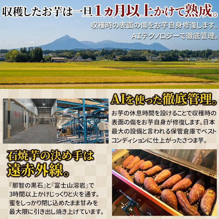 冷やし焼き芋食べ比べ3種6本!レア品種も - メルカリ 冷やし焼き芋食べ比べ3種6本!レア品種も - メルカリ