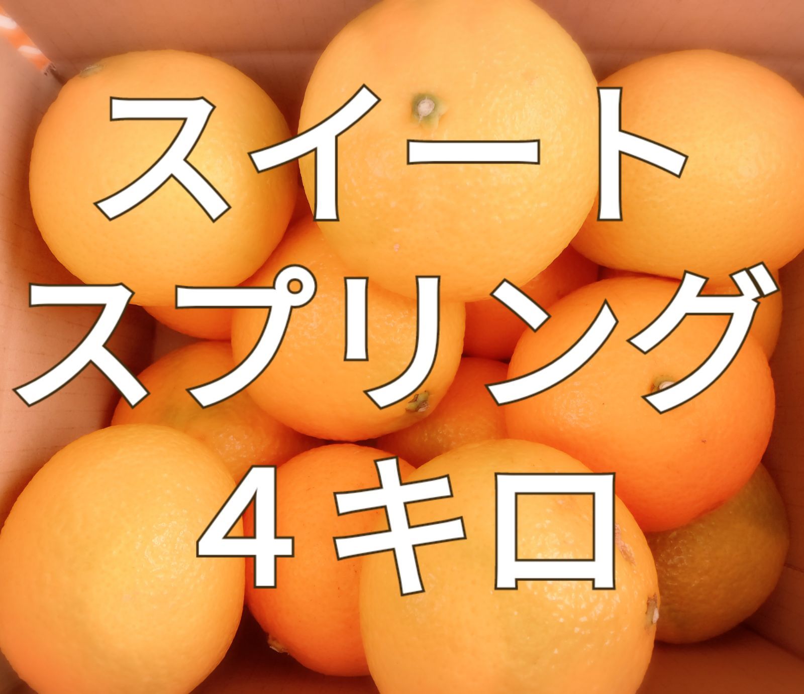 スイートスプリング☆甘春☆４キロ☆長崎県産 - メルカリ