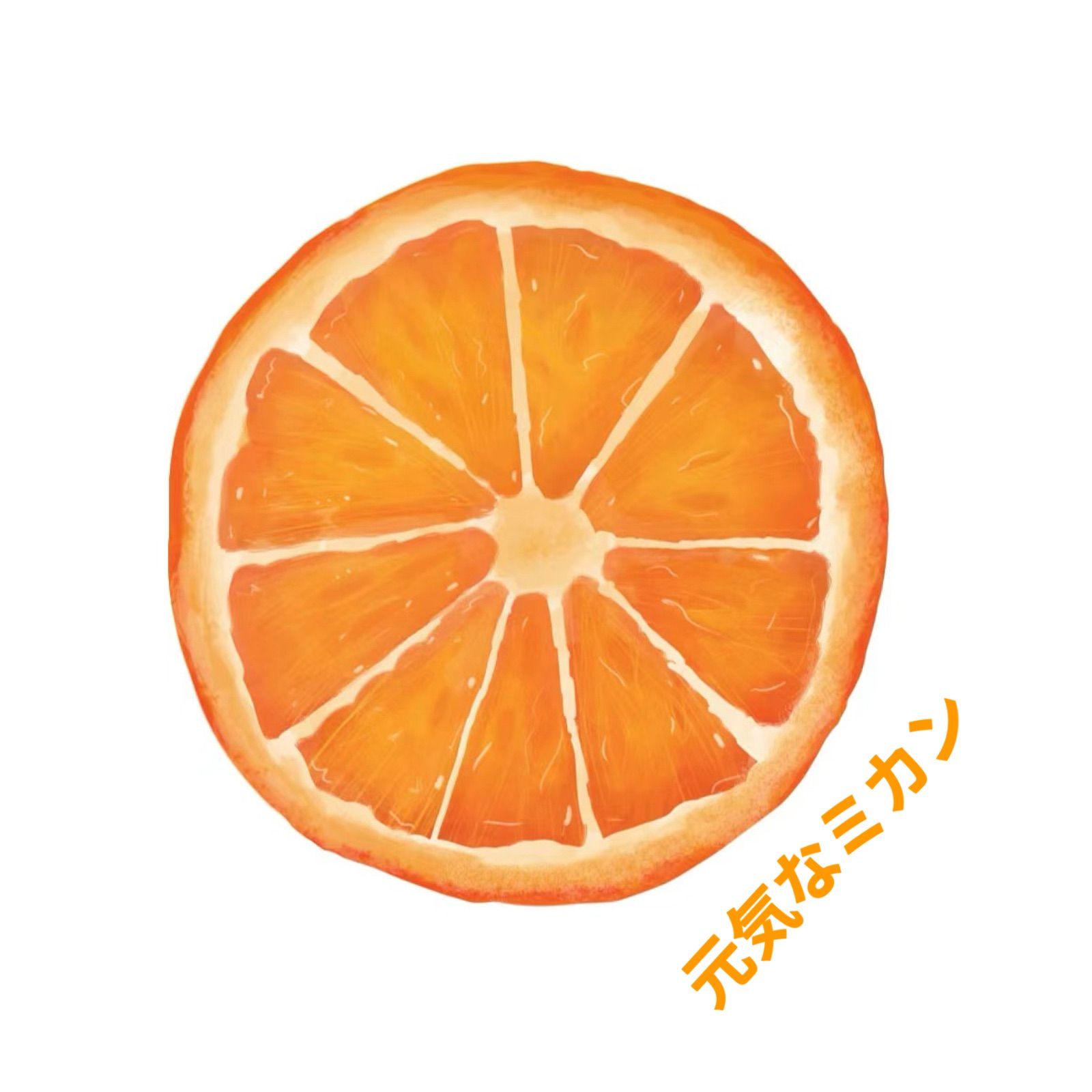 元気なMikan リビングショップ - メルカリShops