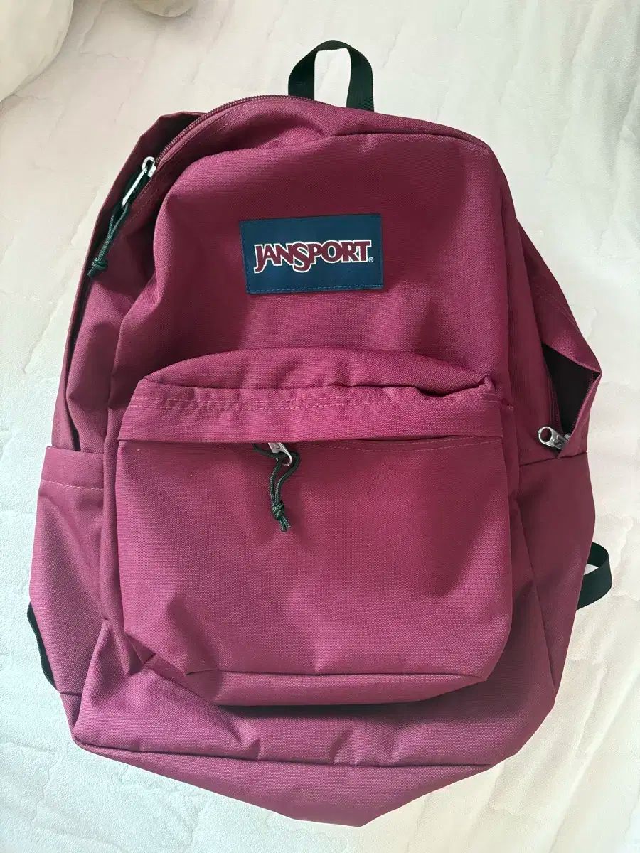 マックスマーラ　25ss LIANA リネンシルクTシャツS 未使用　滝沢真紀子 マックスマーラ 25ss LIANA リネンシルクTシャツS 未使用 滝沢真紀子