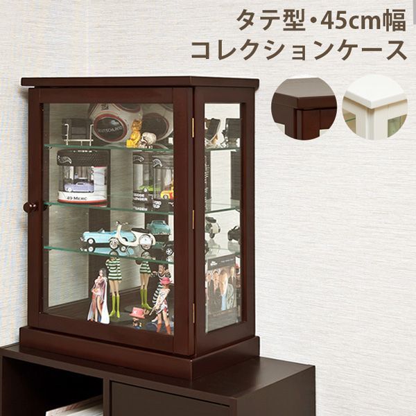 コレクションケース