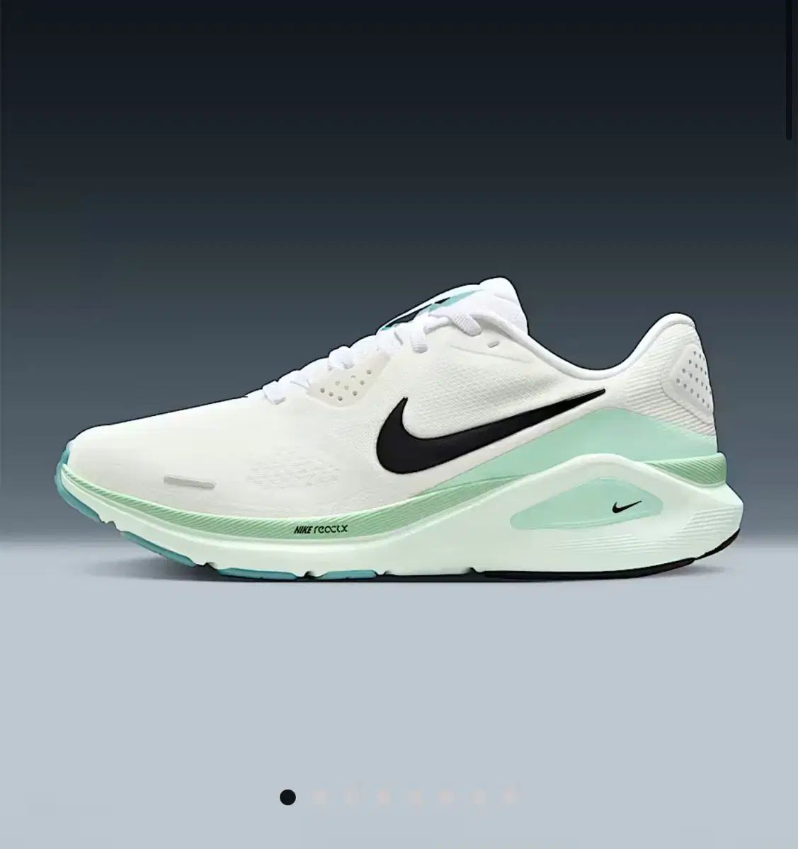 NIKE ナイキ ストラクチャー 26 ランニングシューズ 245