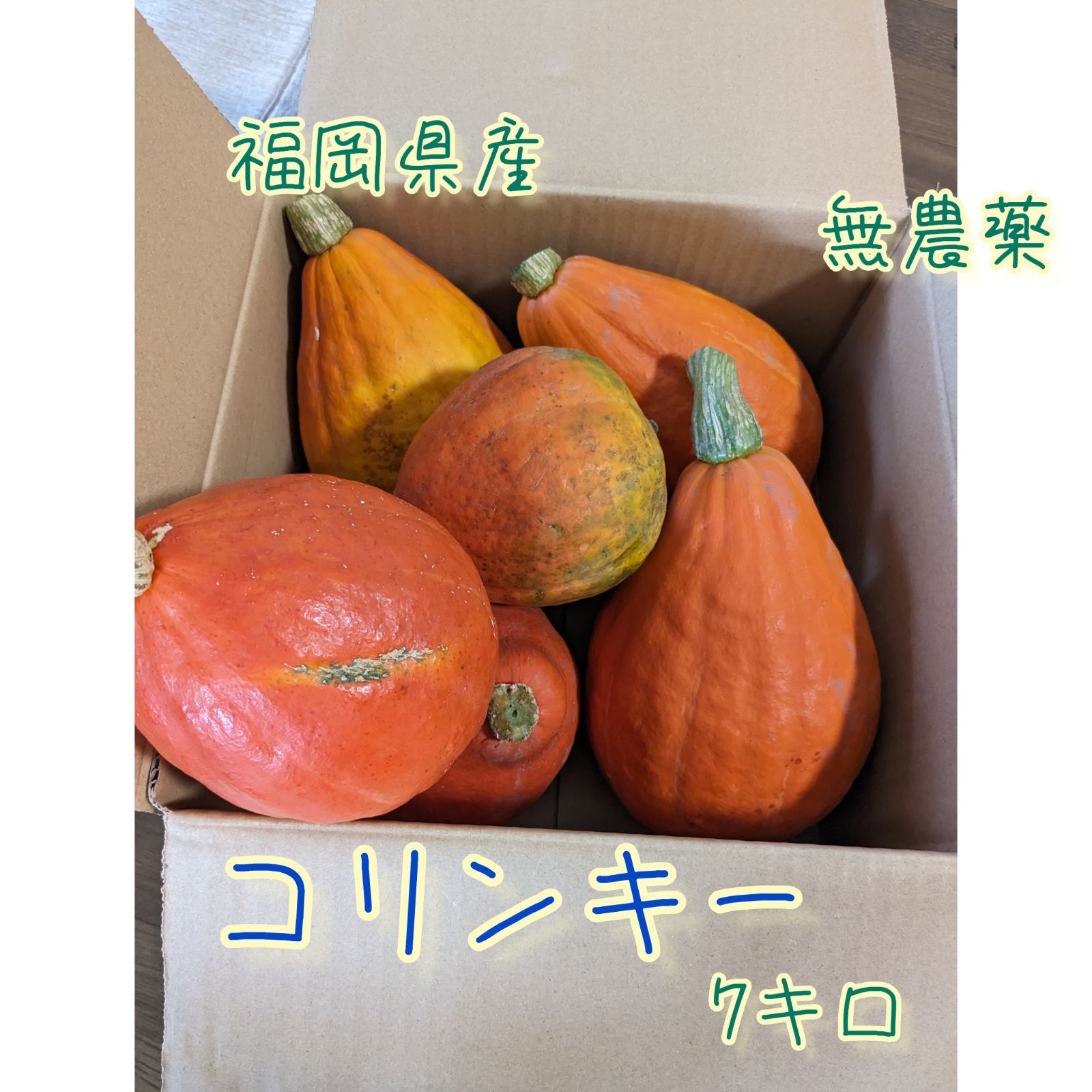 aya0219様専用】福岡県産 無農薬野菜 コリンキー 大玉小玉混在 - 九州