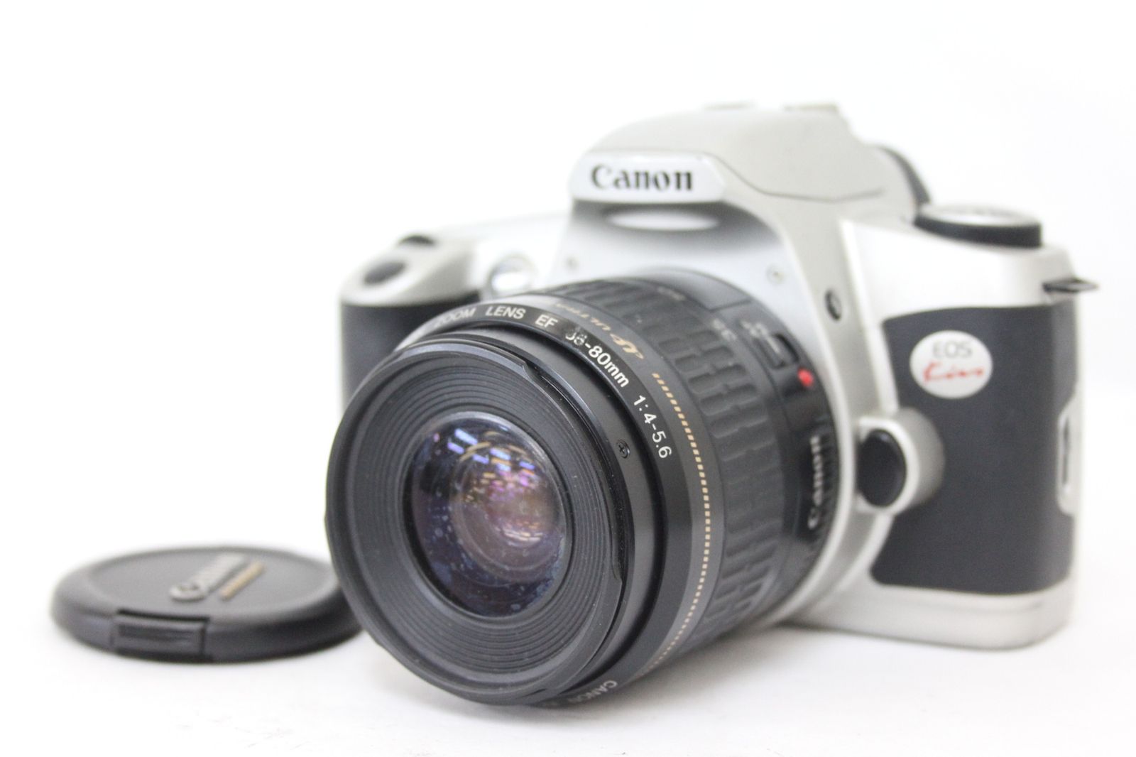 Ns- 美種 アガベ オバティフォリア カメオ