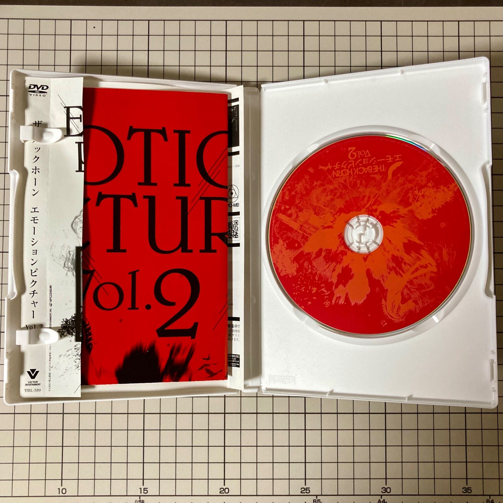 5枚セット】THE BACK HORN DVD ザ・バックホーン - メルカリ
