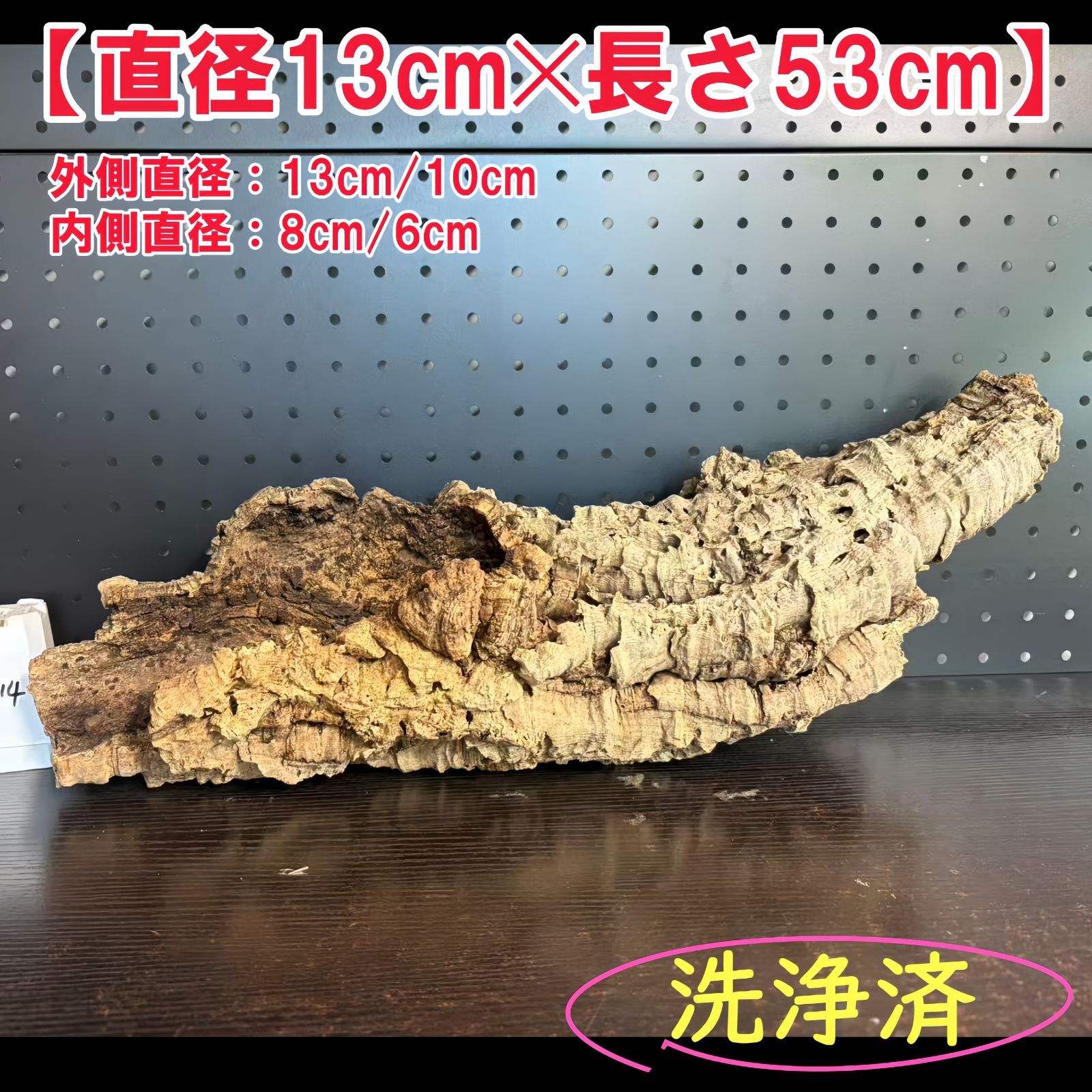 250914 ポルトガル産 キャノンコルク コルク樹皮 コルク板 バージンコルク 送料無料 チランジア ビカクシダ 着生ラン 両生類 爬虫類