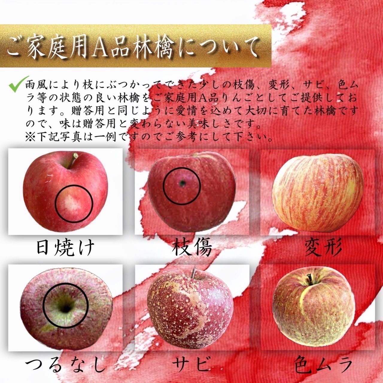 百花千果青森県産  はるか  りんご  家庭用  10kg  産地直送  リンゴ  林檎