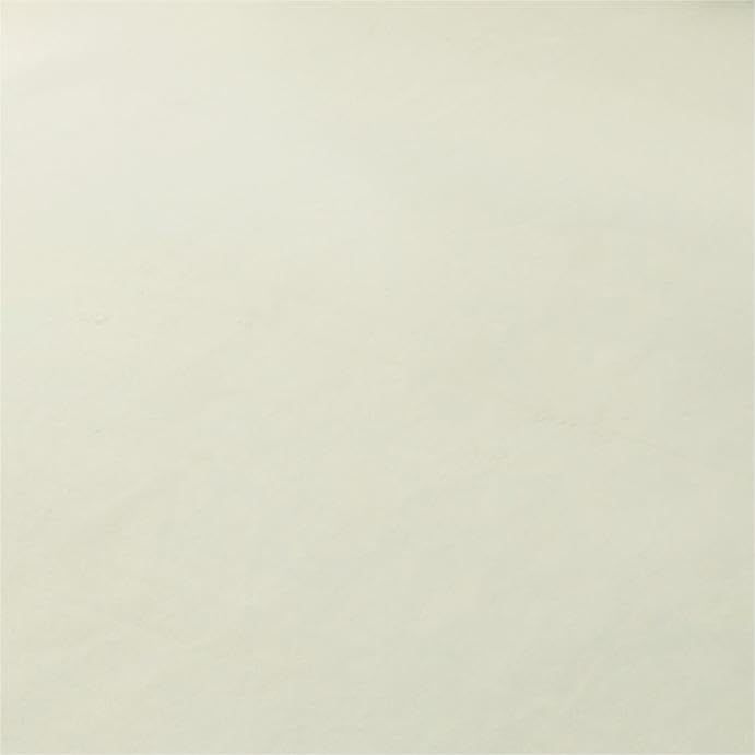 Matdeco カーペット ラグ ラグマット滑り止め付 洗える 200×250cm 約3畳 絨毯 防ダニ 抗菌 防臭 オールシーズン快適に使用 床暖房 ホットカーペット対応 ふわふわ肌触り フランネルラグ 無地 アイボリー MARWIL-DEMENAGEMENTS_CH