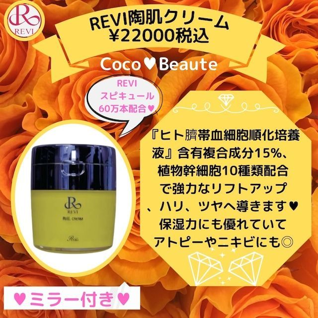 新品・未開封 ルヴィ 陶肌クリーム REVI クリーム - フェイスクリーム