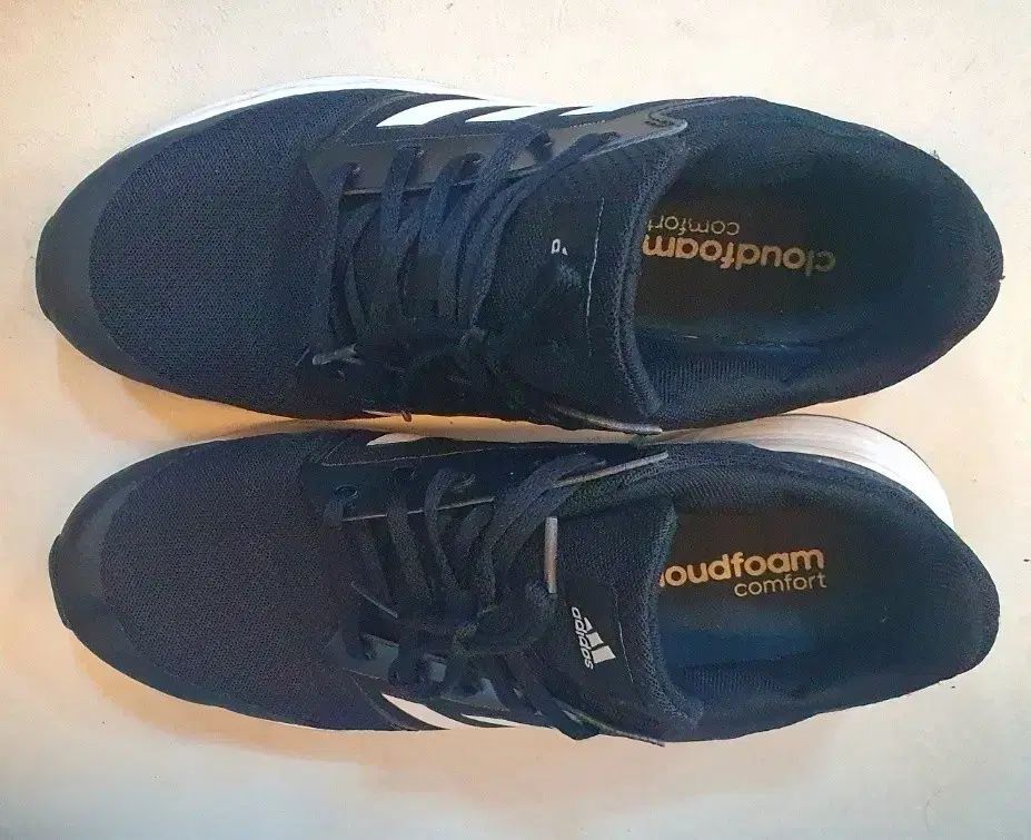 DVD「転生したらスライムだった件 第1期+2期+転スラ日記 全61話+外伝」