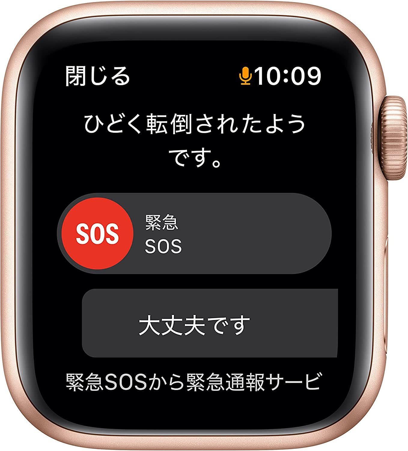 名作 Apple Watch SE 40mm ゴールド 3broadwaybistro.com