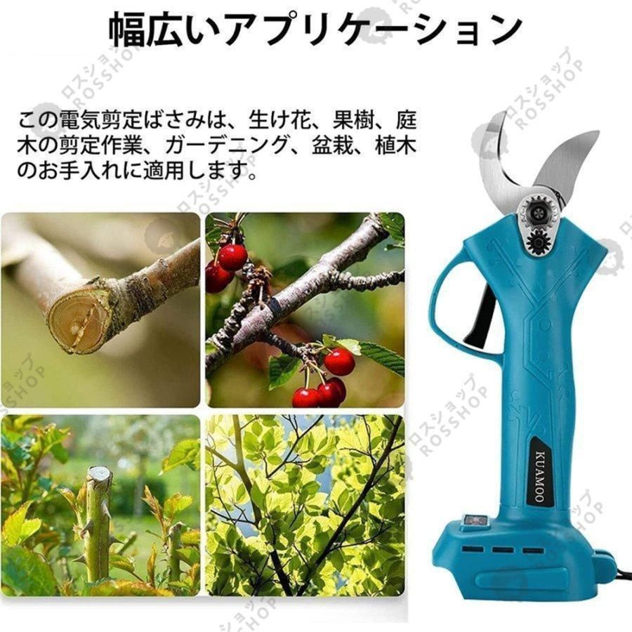 おすすめ