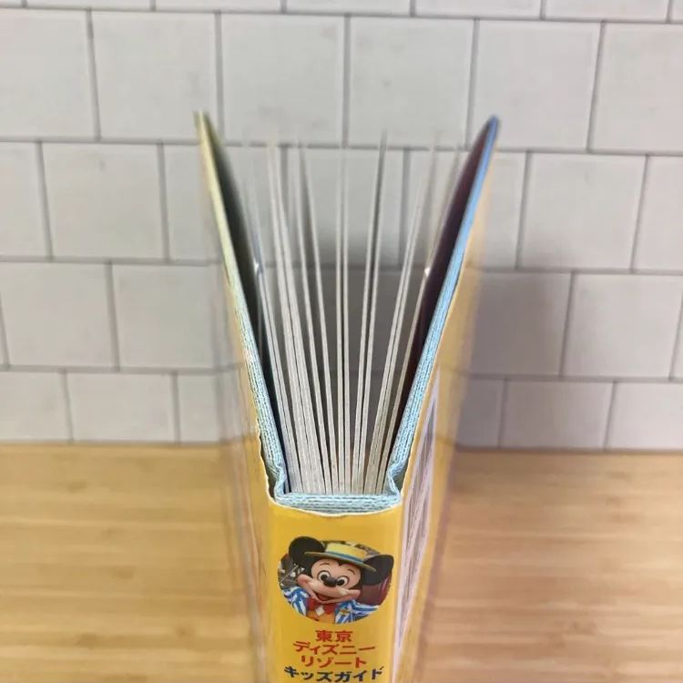 匿名配送送料込み 船乗りシンドバッドの冒険 ディズニーシー TDS