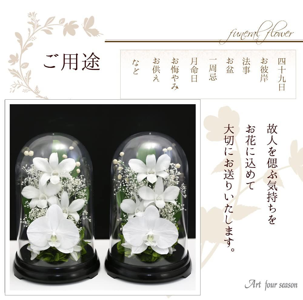 胡蝶蘭デンファレドーム プリザーブドフラワー