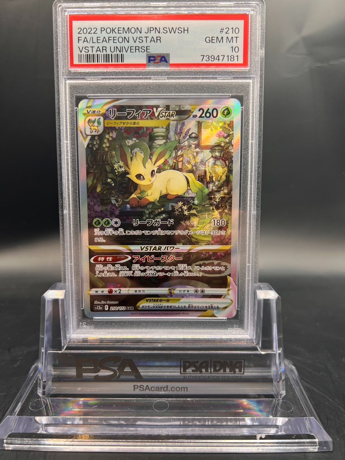 【⭐️PSA10⭐️】リーフィアVSTAR SAR[s12a 210/172] 5bac56cb4a9c084cc4f19ccb207a88