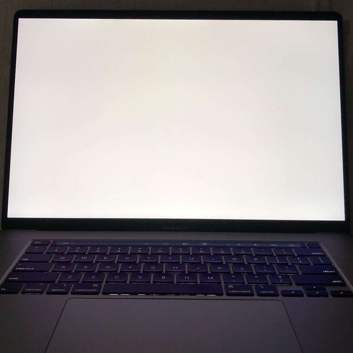 A2141 MacBook Pro 2019/64GB/1TB（ジャンク） A2141 MacBook Pro 2019/64GB/1TB（ジャンク） MacBook Pro 16インチ