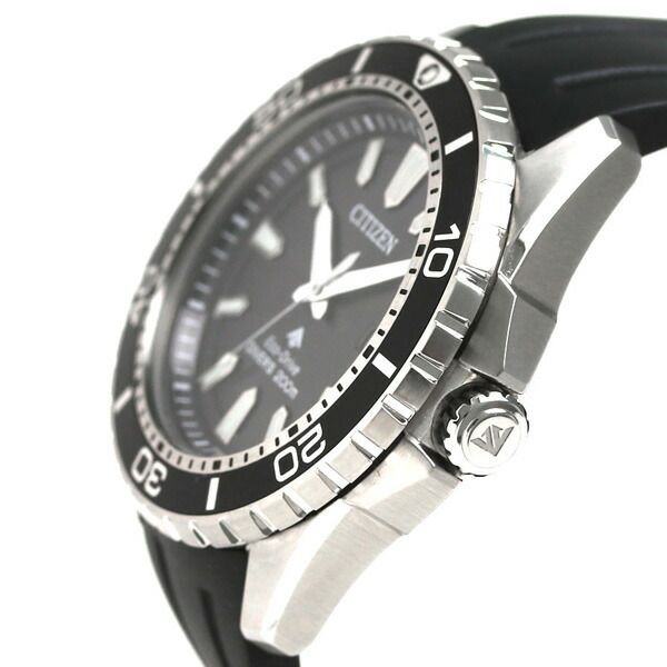 PROMASTER
