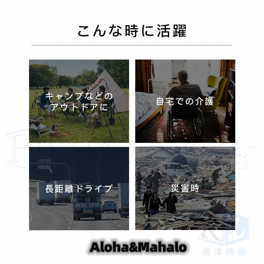 大便