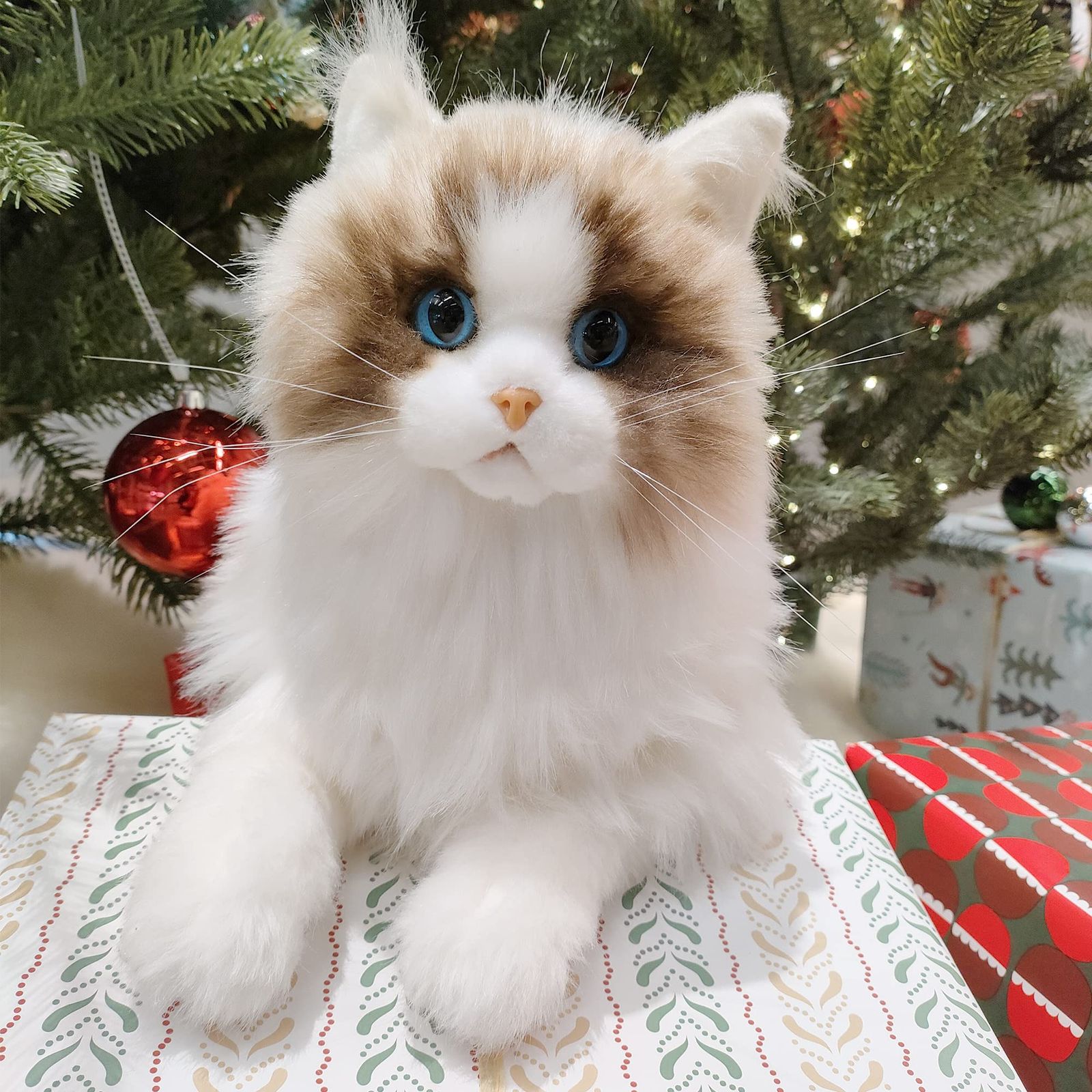 Amazon.co.jp: Chongker 猫ぬいぐるみ リアル 本物そっくり