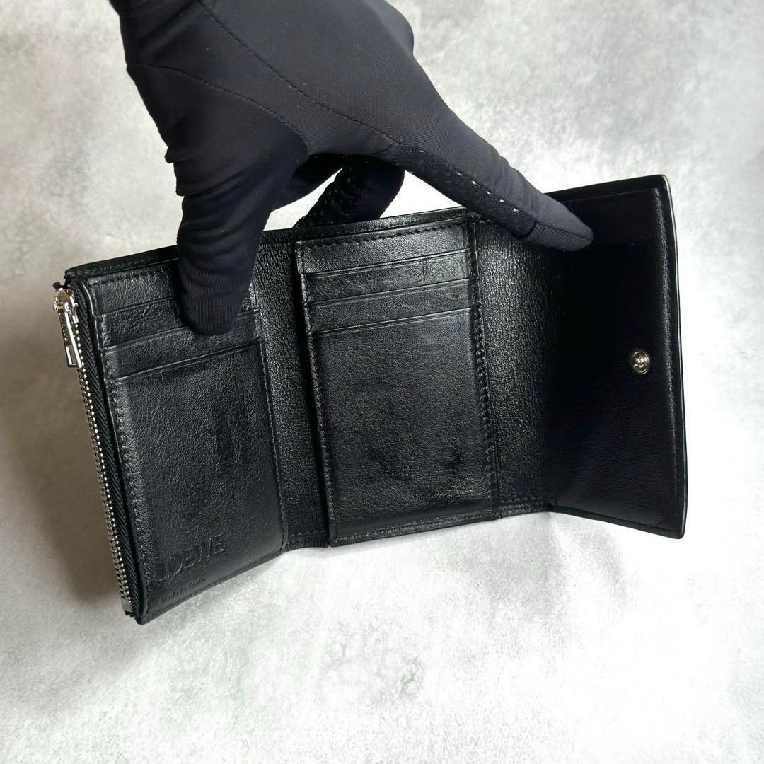 希少品】 LOEWE ロエベ / ハーバリウムトリフォールドウォレット