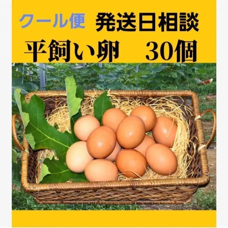 平飼い卵30個 - 食品