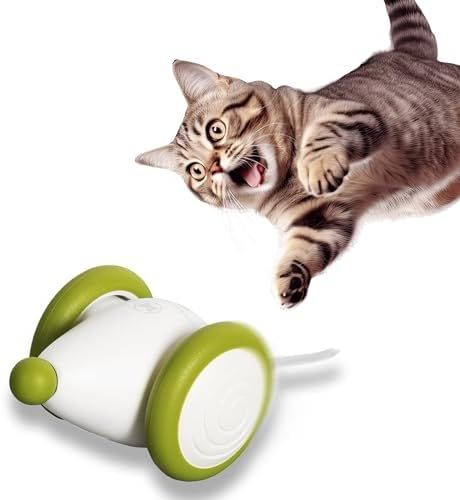 猫楽堂 猫 おもちゃ 2025年版 ネズミ ウィキッド?マウス?プラス 一人遊び USB充電 猫ちゃんのイタズラ友だち グリーン