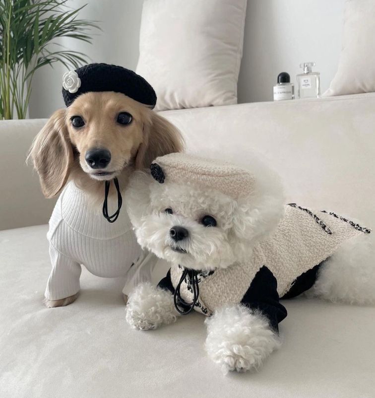 2色から選べる ツイード風ワンピース ペット服 ワンピース 小型犬 ツイードジャケット ノースリーブ 犬 夏 秋 春 ツイード