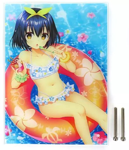 AMBITIOUS MISSION 石川弥栄 アクリルパネル 中古】アクリルスタンド・アクリルパネル 石川弥栄 サマーバケーション