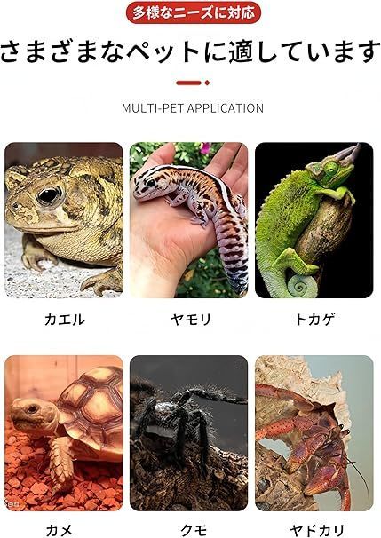 【在庫処分】RoBeKaU 爬虫類 飼育ケース 爬虫類 飼育ケース 昆虫飼育ケース 飼育ケース 飼育容器 爬虫類・両生類用飼育ケース トカゲ ヤモリ ハムスター/蛙/亀/トカゲ/蛇/昆虫/魚など適用 アク 飼育ケース 爬虫類 RoBeKaU 給餌ボックス 新品 外装セット