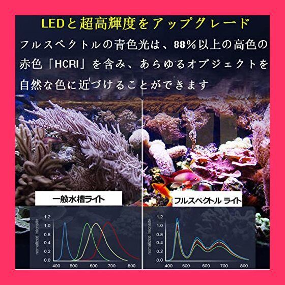 20,000K サンゴ育成・海水魚飼育用フルスペクトルLED サンゴの飼育に適し
