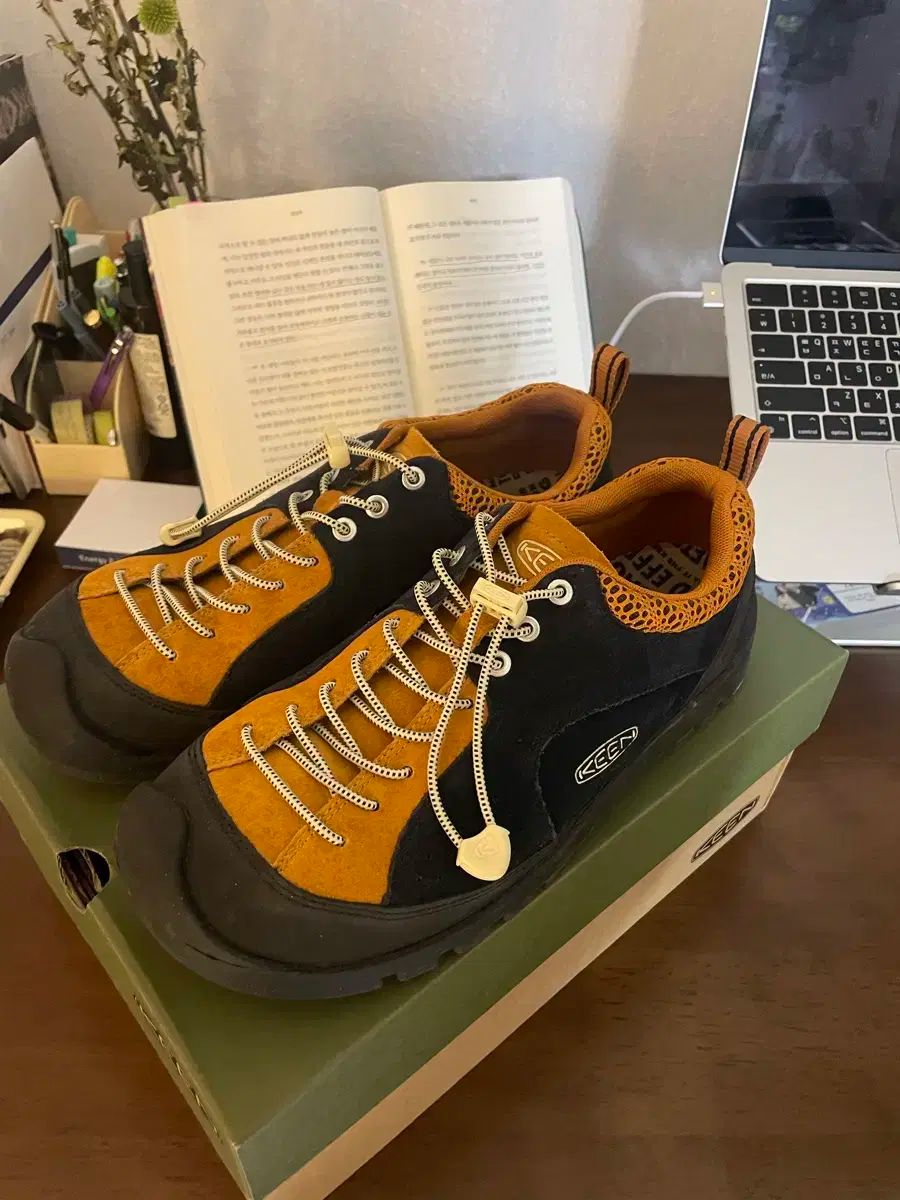 KEEN キーン ジャスパー ロック 270 サイズ スカイ カレー