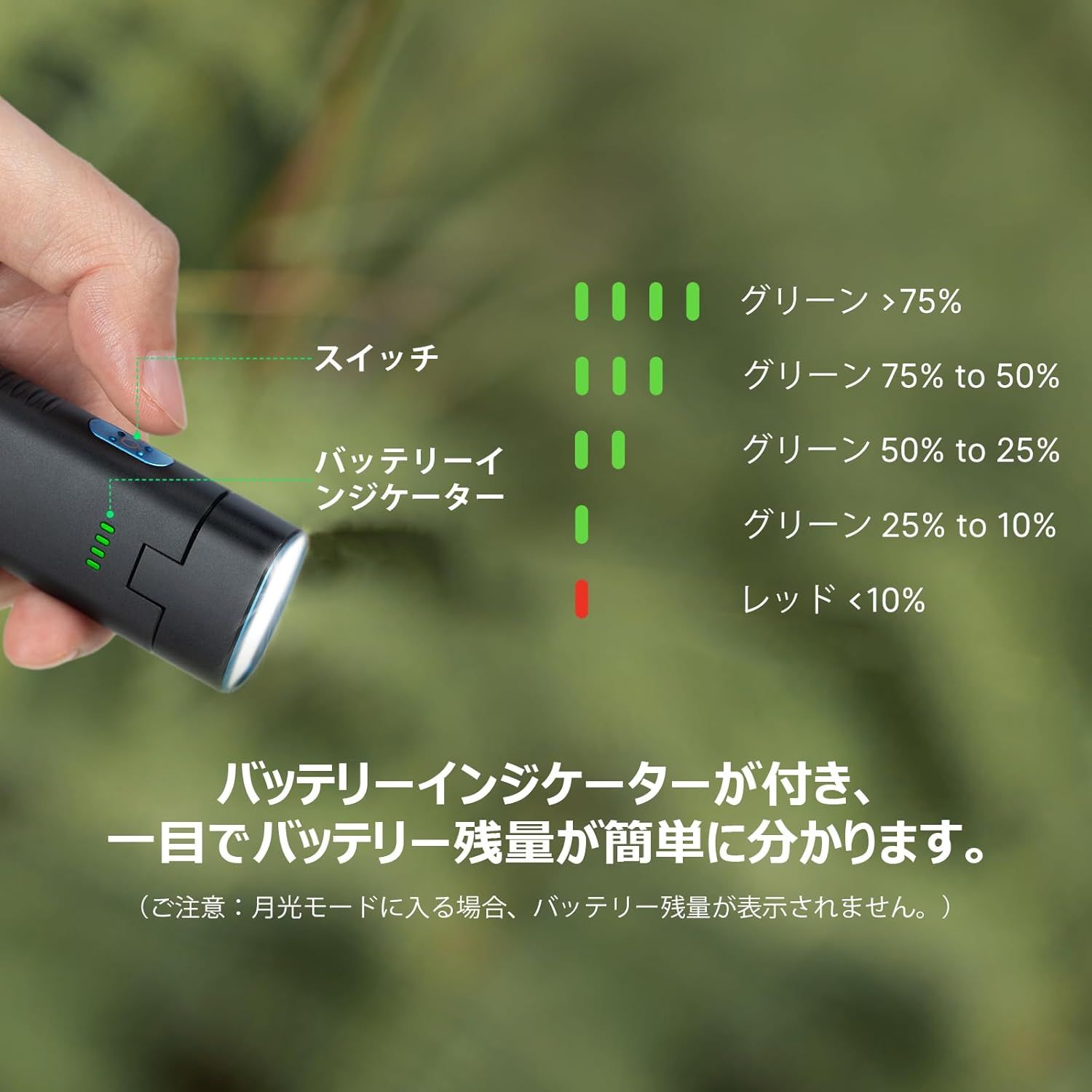 散歩 ハイキング