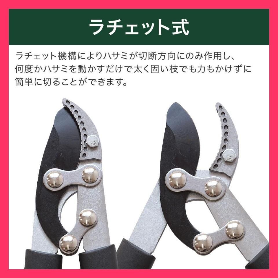 リーブトニック DII 3本セット