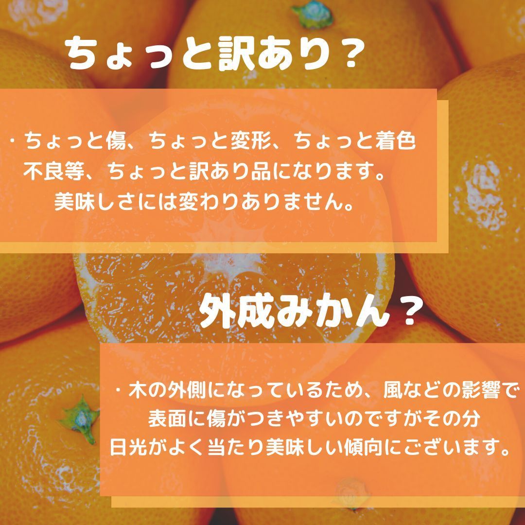 愛媛みかん